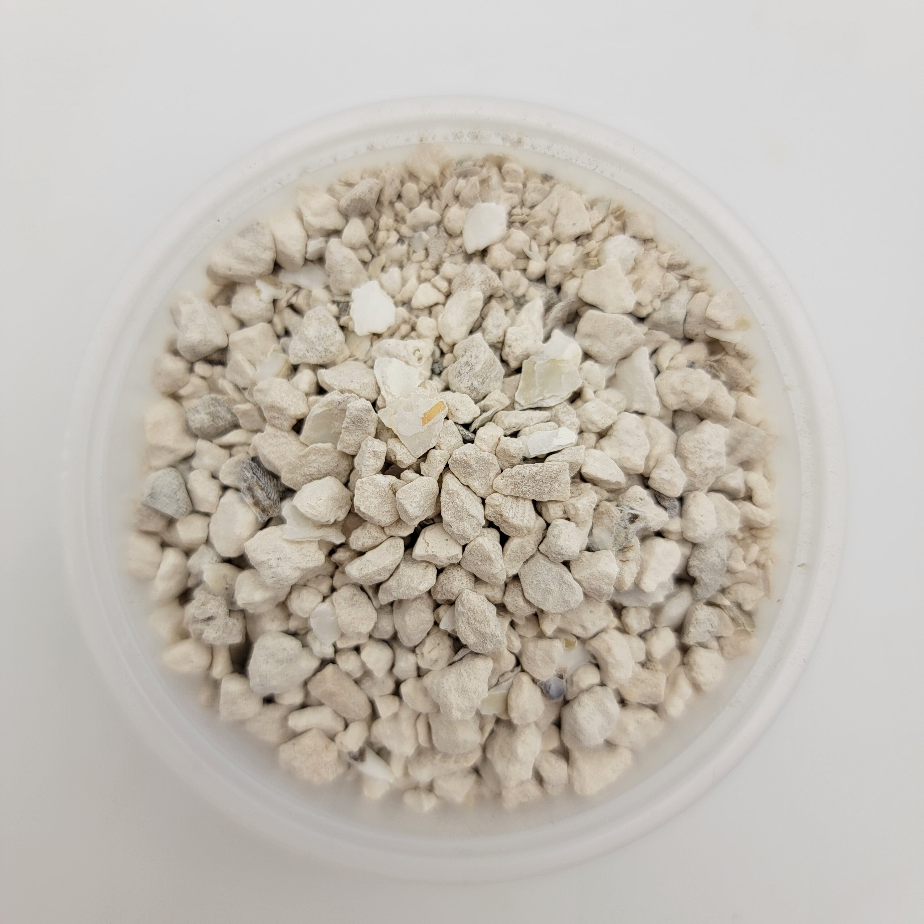 Oyster shell and limestone (calcium) -Soil mix -Rainbow Carnivorous Plants LLC