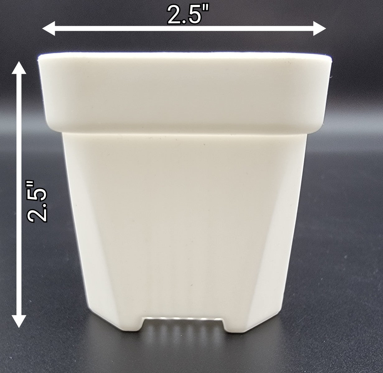 White Square Pot (2.5") - -Rainbow Carnivorous Plants LLC