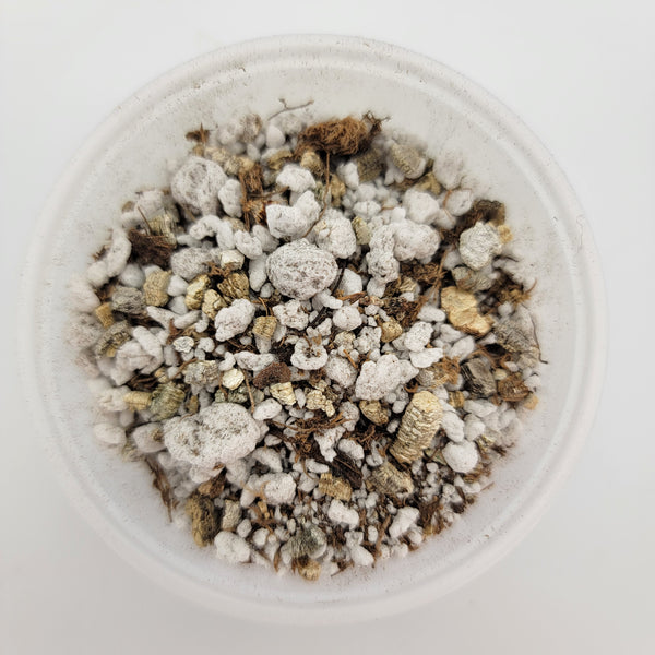 Mexican Pinguicula soil mix Quart bag