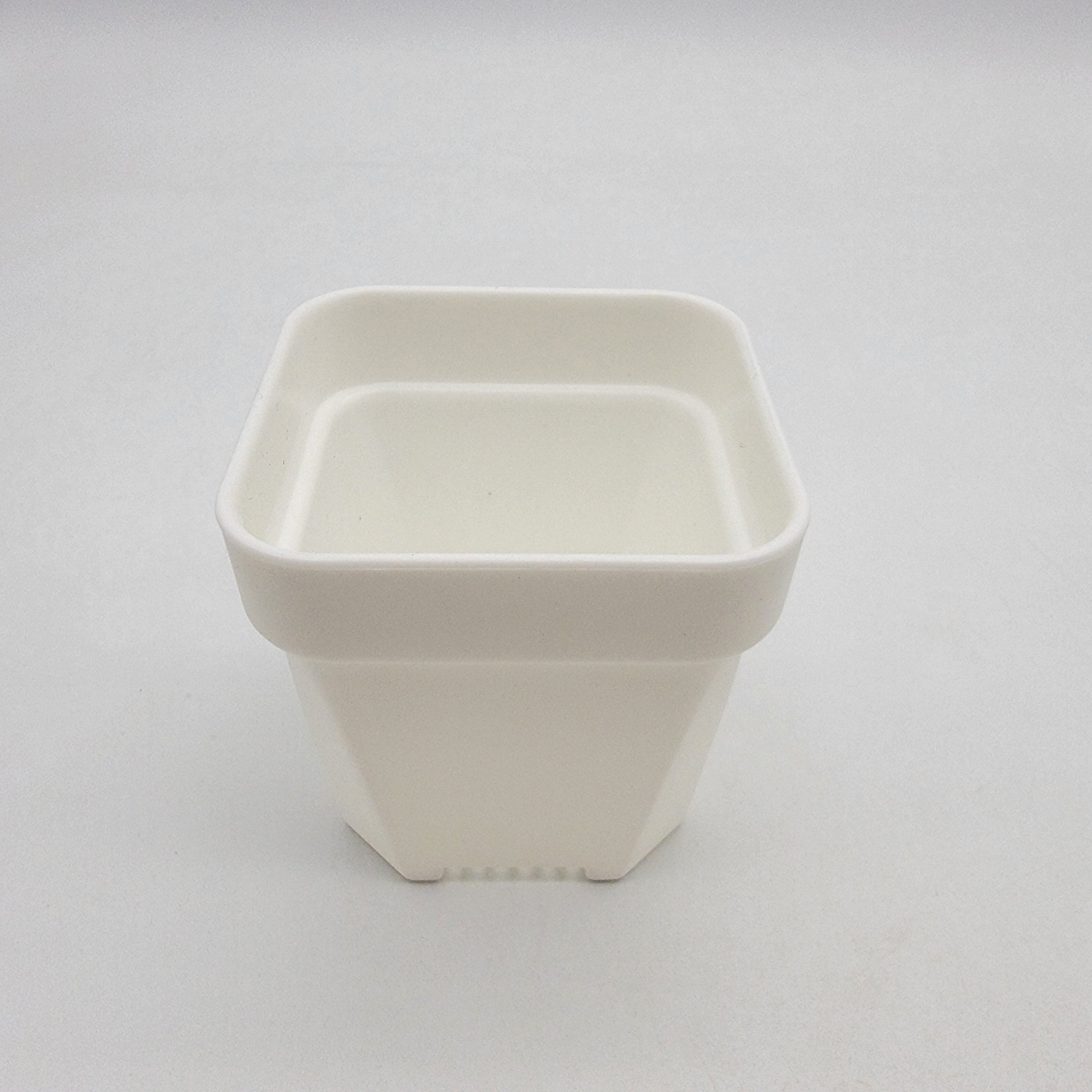 White Square Pot (2.5")