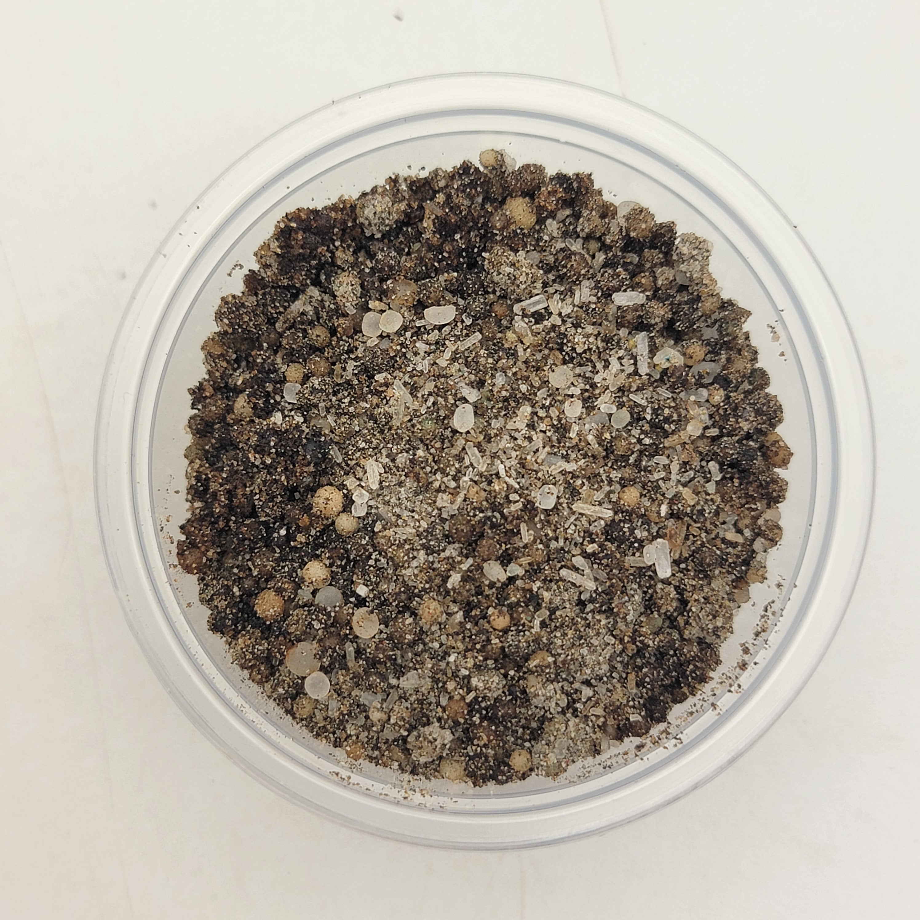 MaxSea 16-16-16 Fertilizer (4 oz Jar) 🌿 -Soil mix -Rainbow Carnivorous Plants LLC