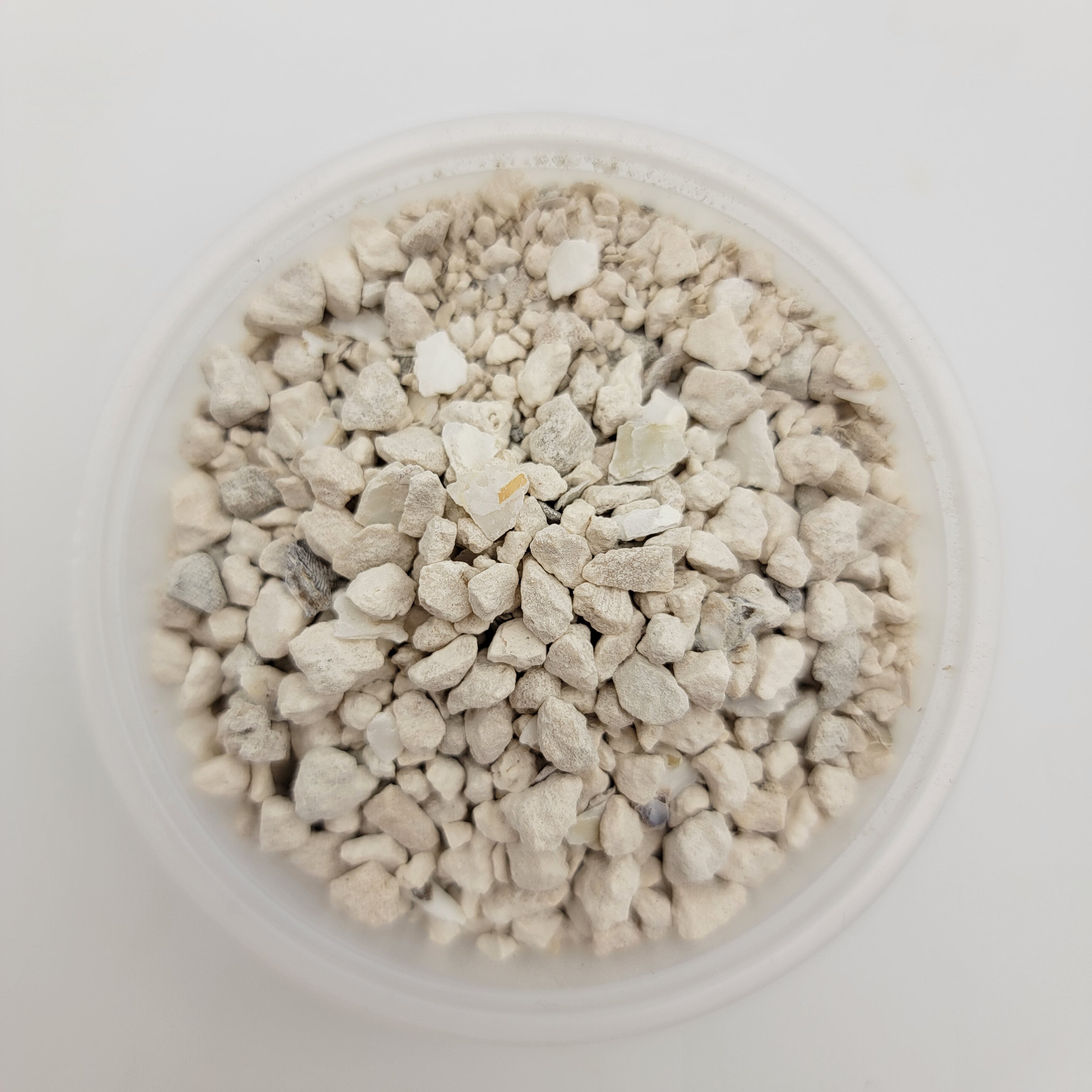 Oyster shell and limestone (calcium) - Rainbow Carnivorous Plants LLC